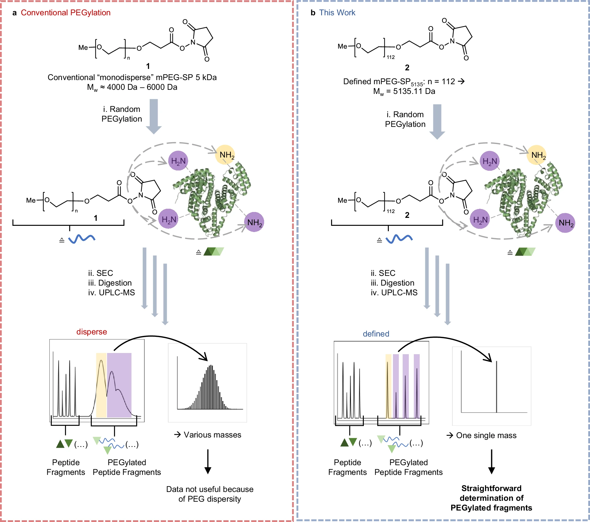 Graphical abstract of the Nature Communications paper